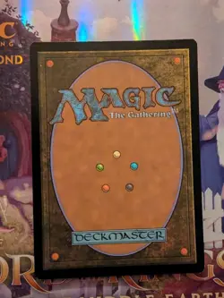 MTG Shivan Reef (Borderless) Dominaria United Foil NM - Image 3