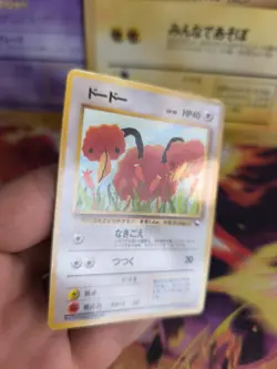 Pokemon Karte Card Vending expansion sheet glossy japanese Doduo Dodu NM- - Image 4