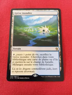 GREVE INONDEE FLOODED STRAND KHANS RARE CARTE MAGIC MTG FR - Image 1