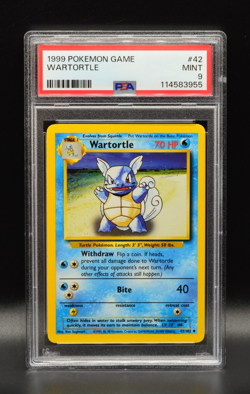 Wartortle 1999 Pokemon Base Set Unlimited #42 WOTC PSA 9 Newly Graded - Image 1