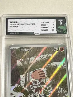 Swinub 165/159 Illustration Rare 2025 Journey Together Pokemon TCG Grade 8 - Image 2