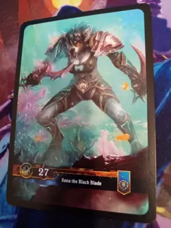 WOW TCG - Rogue Deck + Extras - Sana the Black Blade - 70 Cards - Image 1