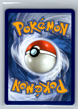 Pokemon TCG - Team Rockets Raticate 202/182 Destined Rivals - Illustration Rare - Image 2
