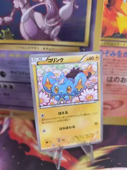 Pokemon Karte Card Shinx Sheinux XY Black Star Promo 2015 Rare japanese NM-MINT - Image 1