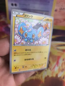 Pokemon Karte Card Shinx Sheinux XY Black Star Promo 2015 Rare japanese NM-MINT - Image 5