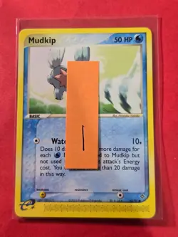 2003 Pokemon EX Dragon #65 Mudkip, C, NF/H, cd1 - Image 3