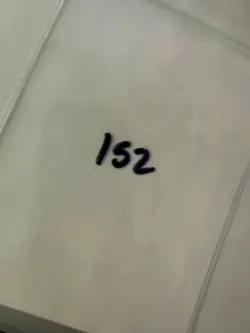 Magic The Gathering: Beta Tranquility MTG Beta - Image 3