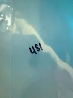 Magic the Gathering: Beta Tranquility MTG Beta - Image 3