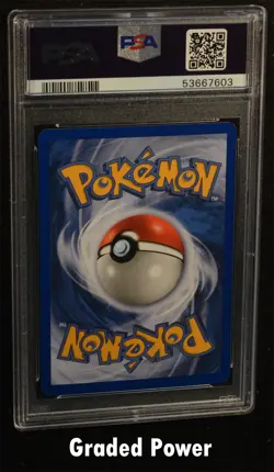 Pokemon Promo Mudkip Black Star Promo PSA 8 REVERSE HOLO (7603) 010 - Image 2