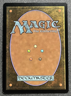 Drowned Catacomb - Foil Magic 2010 (M10) Magic mtg Light Play, English x1 - Image 2