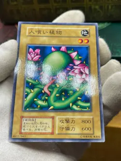 Yugioh - Man-eating Plant -No Ref -Common 1999 Booster1 old school Japanese - Image 3