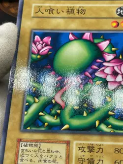 Yugioh - Man-eating Plant -No Ref -Common 1999 Booster1 old school Japanese - Image 4