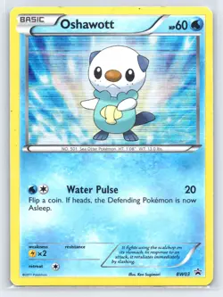 Oshawott - BW03 - Pokemon Card Black & White Promo Holo Rare - LP - Image 1