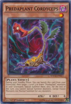 Yugioh! Predaplant Cordyceps - MACR-EN011 - Common - 1st Edition Near Mint, Engl - Image 1