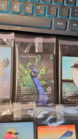 Life TCG Birds 1st Edition Promo Fullart | Sealed | WWF Stamp Cards | 7 in Set - Image 3
