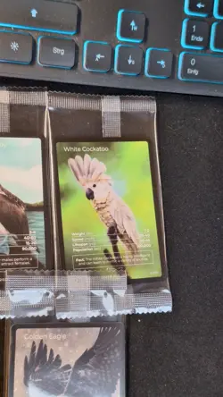 Life TCG Birds 1st Edition Promo Fullart | Sealed | WWF Stamp Cards | 7 in Set - Image 5