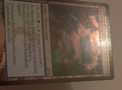 Breeding Pool FOIL MP Magic the Gathering Gatecrash MTG - Image 3