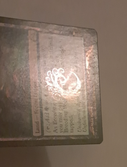Breeding Pool FOIL MP Magic the Gathering Gatecrash MTG - Image 4