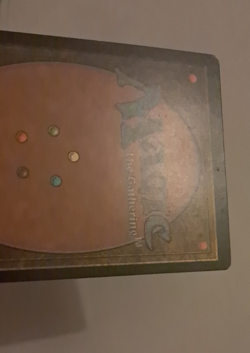 Breeding Pool FOIL MP Magic the Gathering Gatecrash MTG - Image 5