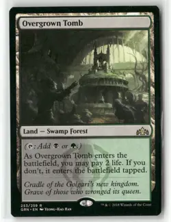 Magic The Gathering- Overgrown Tomb Guilds of Ravnica #253 - Image 1