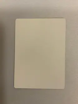 MTG Magic Turf Wound Signed Artist Proof x1 Invasion Thomas Gianni - Image 2