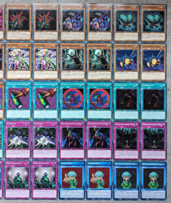 Yu-Gi-Oh! Insekten / Weevil Underwood / Speed Duel / Anime -Deck Insektenkonigin - Image 3