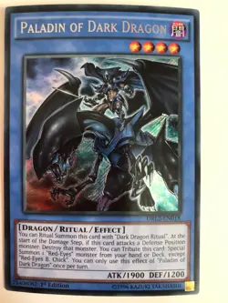 Yugioh Paladin of Dark Dragon DRL2-EN018 Secret Rare NM - Image 1