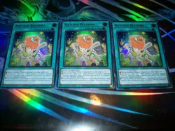 3x Naturia Blessing 1st Edition Ultra Rare MP23-EN204 Yu-Gi-Oh! - Image 1