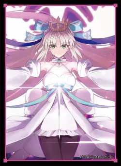 FGO Fate Grand Order Altria Avalon Caster Berserker doujin Card Sleeve Protector - Image 1