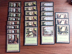 95x Vintage Basic Land lot - Tempest Set - MP - mtg SPARROW MAGIC - Image 1