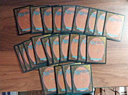 95x Vintage Basic Land lot - Tempest Set - MP - mtg SPARROW MAGIC - Image 2