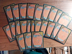 95x Vintage Basic Land lot - Tempest Set - MP - mtg SPARROW MAGIC - Image 4