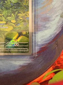 Bulbasaur 166/165 SV: Scarlet & Violet 151 Illustration Rare - English Card UK - Image 5