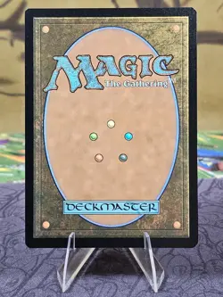Wan Shi Tong, Librarian (Borderless) MtG: Avatar: The Last Airbender Non Foil NM - Image 2