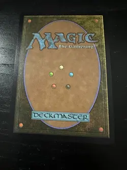 Choco, Seeker of Paradise Borderless Chocobo Track Foil Final Fantasy MTG NM - Image 4