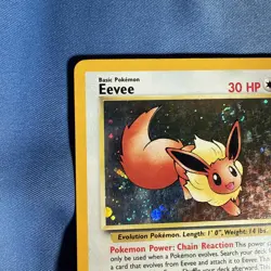 Pokemon Card - Eevee #11 Holo WoTC Black Star Promo - Image 2