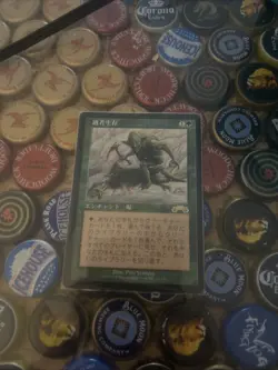 MTG Survival of the Fittest Japanese Exodus Green Rare Enchantment - Image 1