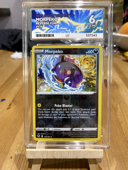 Morpeko 116/195 | ACE 6 | Silver Tempest | Reverse Holo | Pokemon TCG - Image 1