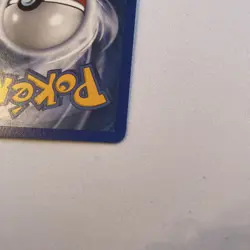 Plusle and Minun Hidden Legends 69/101 67/101 Pokemon Card Connected Art - Image 4