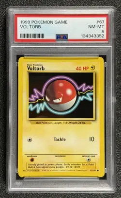 1999 Pokemon Game #67 Voltorb 67/102 Base Set Series Common Pokemon Card PSA 8 - Image 1