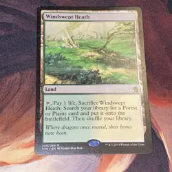 Windswept Heath X1 Mtg Khans Of Tarkir Lp - Image 1