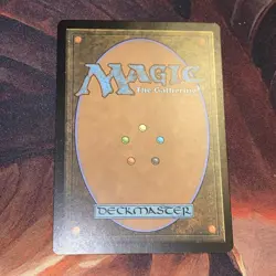Windswept Heath X1 Mtg Khans Of Tarkir Lp - Image 2
