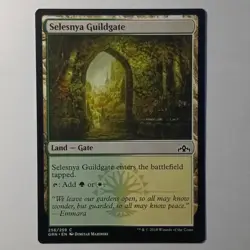 Selesnya Guildgate (256) Guilds of Ravnica Regular - Image 1