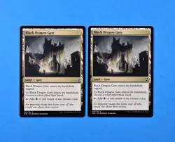2x Black Dragon Gate Commander Legends D&D Battle for Baldur's Gate Mtg Land 347 - Image 1