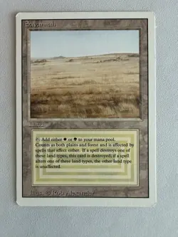 Savannah Mtg Revised - Image 1