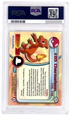 1999 POKEMON TOPPS TV HOLO CHARMELEON FOIL - PSA 8 NM-MINT - Image 2
