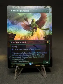 Birds of Paradise (Borderless) Commander: Bloomburrow Foil NM - Image 1