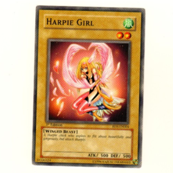 Harpie Girl Common RDS-EN004 1st Edition Yugioh Trading Card - Image 1