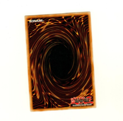 Harpie Girl Common RDS-EN004 1st Edition Yugioh Trading Card - Image 2