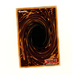 Harpie Girl Common RDS-EN004 1st Edition Yugioh Trading Card - Image 4